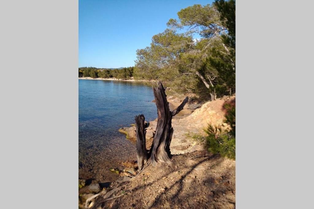 Face Mer Entre Plage Et Marina بورم لي ميموزا المظهر الخارجي الصورة